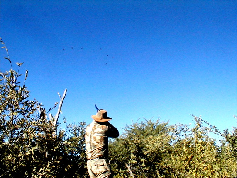 wingshooting bird hunting Africa Argentina England